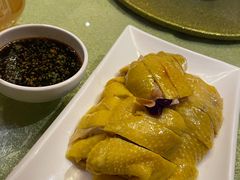 上海白斩鸡-阿莉餐厅(枣阳路店)