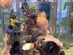 -太平洋海底世界