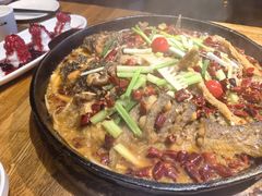 -老板恋上鱼(高新万达店)