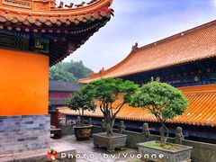 -普陀山风景名胜区-法雨禅寺