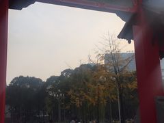 -四川大学(望江校区)