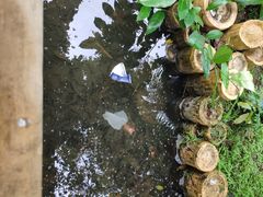 -湛江海滨宾馆-醉海楼