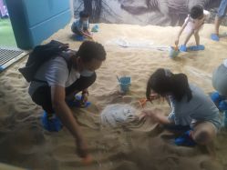 -恐龙探索乐园(磁器口店)