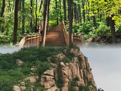 -鲁山国家森林公园