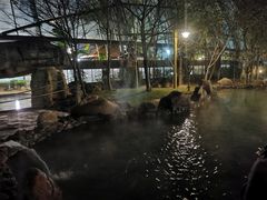 -洪湖悦兮半岛国际温泉度假村
