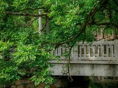-叶家花园