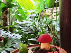 -菌自由丨野生菌火锅特色庭院餐厅(丽江古城店)