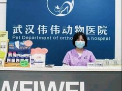 -伟伟宠物医院·CT影像中心·瑞派犬猫综合性门诊(汉口总院)
