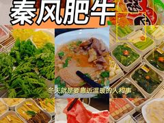 -秦风肥牛(阳阳国际店)