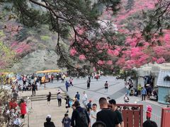 -木兰云雾山
