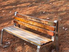 -浙江农林大学(东湖校区)