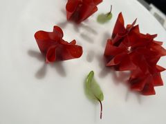 山楂鹅肝-柿合缘新京菜(国金中心商场店)