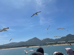 -海驴岛(荣成市)
