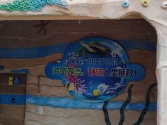-广东惠东海龟国家级自然保护区