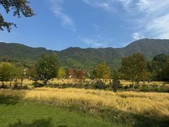 -塔川景区