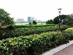 -立新湖公园