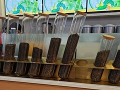 -雾与山茶(大禹城店)