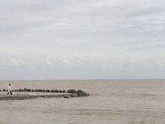 -南汇新城海滩
