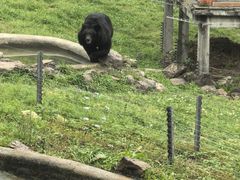 -无锡动物园·太湖欢乐园
