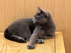 -杭州西湖银泰百货