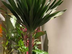 -徐记海鲜(曲江南湖店)