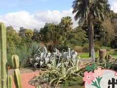 -墨尔本皇家植物园