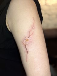 -PinooTattoo皮奴刺青纹身设计总部