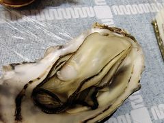 -东极岛海鲜