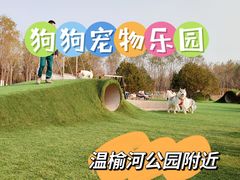 -爪吧宠物乐园·宠物泳池(温榆河示范区店)
