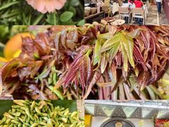 -福照楼汽锅鸡·云南菜(万达广场店)