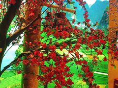 -寻钵记民菜馆·正宗常德钵子菜(滨湖路店)