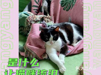我一听还有验血验尿，简直为她猫生牢捏一把凉汗