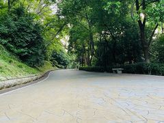 -北极阁公园