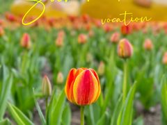 -长春公园(普阳街道)