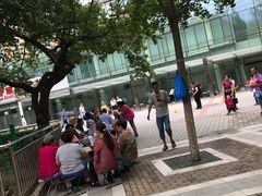 -双榆树公园
