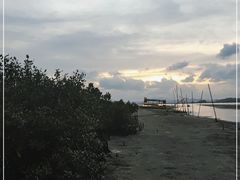 -盐洲岛