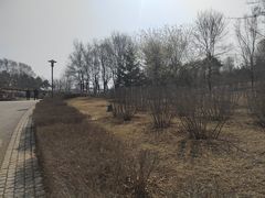 -莫子山公园