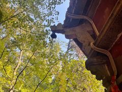 -宝通禅寺