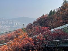 -博山九龙峪风景区