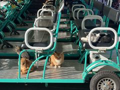 -黄海国家森林公园