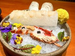 -月龍吟(朝龙汇店)