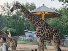 -大连森林动物园