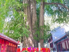 -潭柘寺景区
