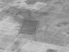 -成都天府丽都喜来登饭店