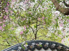 -深圳国际园林花卉博览园