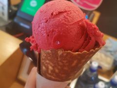 -Patagonia Chocolates(皇后镇店)