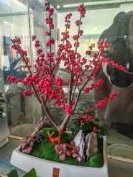 -遇见爱婚庆鲜花(无为铁山路店)