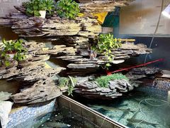 -山水茶艺馆·点心粤菜·30年老字号