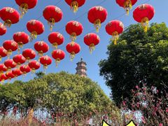 -广州莲花山旅游区