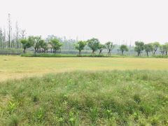 -白鹭湾湿地公园